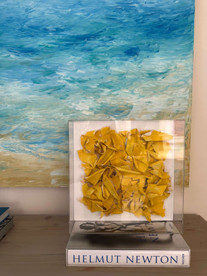 High-detail shot of MINI YELLOW – Textural brushstrokes in a collectible small-format piece

